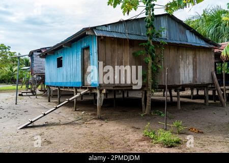 Riberenos-Gemeinden und -Häuser liegen im peruanischen Amazonas Stockfoto