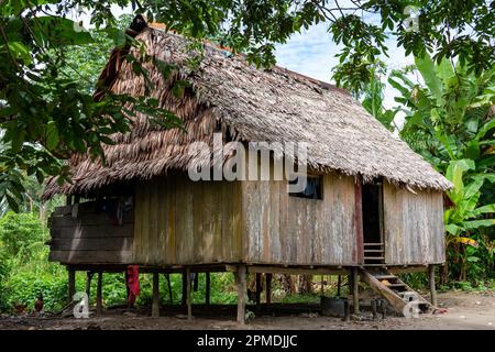 Riberenos-Gemeinden und -Häuser liegen im peruanischen Amazonas Stockfoto