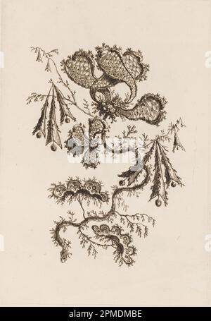 Print, Blumenzweig, von „Fleures Persannes“; Print Maker: Jean-Baptiste Pillement (Französisch, 1728–1808); Frankreich; Ätzen auf Papier; Platte: 32,9 x 21 cm (12 15/16 x 8 1/4 Zoll) Papier: 42,5 x 28,1 cm (16 3/4 x 11 1/16 Zoll) Stockfoto