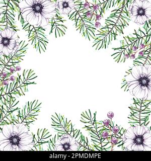 Quadratischer Weihnachtsrahmen in Aquarellfarben aus Piniennadeln und Anemonen auf weißem Hintergrund. Einzelne Blätter, um eine Postkarte, Einladung, Bus zu erstellen Stockfoto