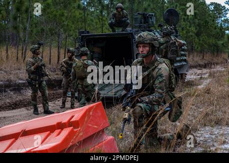 Ein niederländischer Marine mit Marineschwader Carib, Niederlande Marine Corps stellt Sicherheit während der Übung karibischer Urban Warrior auf Camp Lejeune, North Carolina, 28. März 2023. Übung Caribbean Urban Warrior ist eine bilaterale Fortbildungsmaßnahme, die darauf abzielt, die globale Interoperabilität zwischen der 2D Marine Division und der Marine Squadron Carib zu verbessern. (USA Marinekorps, Foto von Lance CPL. Ethan Miller) Stockfoto