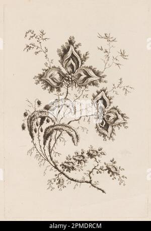 Print, Blumenzweig, von „Fleures Persannes“; Print Maker: Jean-Baptiste Pillement (Französisch, 1728–1808); Frankreich; Ätzen auf Papier; Platte: 31 x 20,8 cm (12 3/16 x 8 3/16 Zoll) Papier: 41,6 x 28,3 cm (16 3/8 x 11 1/8 Zoll) Stockfoto