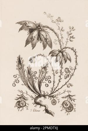 Print, Blumenzweig, von „Fleures Persannes“; Print Maker: Jean-Baptiste Pillement (Französisch, 1728–1808); Frankreich; Ätzen auf Papier; Platte: 31 x 21,1 cm (12 3/16 x 8 5/16 Zoll) Papier: 42,2 x 27,4 cm (16 5/8 x 10 13/16 Zoll) Stockfoto