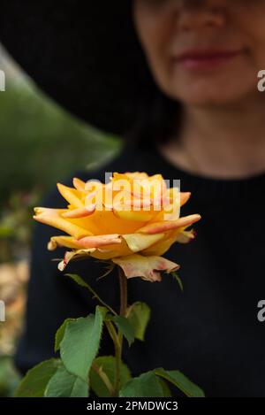 Gelbe Rose auf dem Hintergrund eines verschwommenen Bildes einer Frau mit Hut, selektiver Fokus. Stockfoto