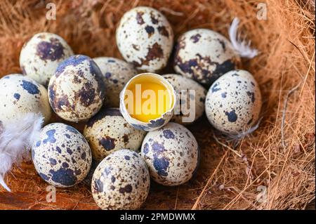 Wachteleier auf Vogelnest, frische Wachteleier und Federn auf Holztischhintergrund, rohe Eier mit geschälter Eierschale Stockfoto