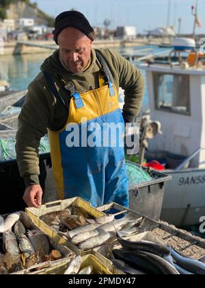 Numana, Italien - 7 2023. April Fischer, die frischen Fisch aus der adria und Meeresfrüchte auf dem Markt früh am Morgen am Hafendock verkaufen Stockfoto