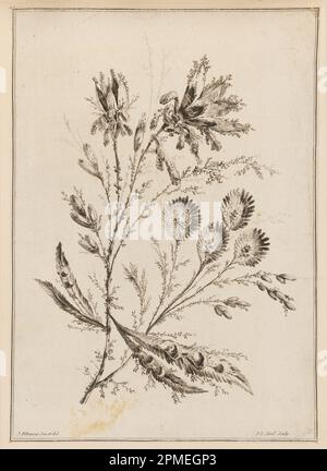 Print, Flower Bough; Design von Jean-Baptiste Pillement (Französisch, 1728–1808); Print Maker: Jean-Jacques Avril, der Ältere (Französisch, 1744–1831); Frankreich; Ätzen auf Papier Stockfoto