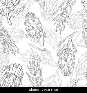 Handgezeichnete nahtlose Musterlinie Kunstblumen protea. Stock Vektor