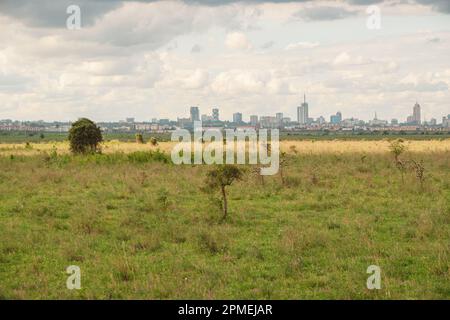 Die Skyline von Nairobi aus dem Nairobi Nationalpark, Kenia Stockfoto