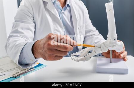 Anatomisches Fussskelettmodell in der Nahaufnahme der Arzthandel, während der Sprechstunde in der Orthopädischen Klinik. Traumatologie, Behandlung von Beinverletzungen Stockfoto