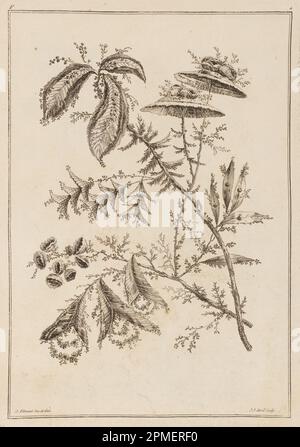 Print, Flower Bough; Design von Jean-Baptiste Pillement (Französisch, 1728–1808); Print Maker: Jean-Jacques Avril, der Ältere (Französisch, 1744–1831); Frankreich; Ätzen auf Papier Stockfoto