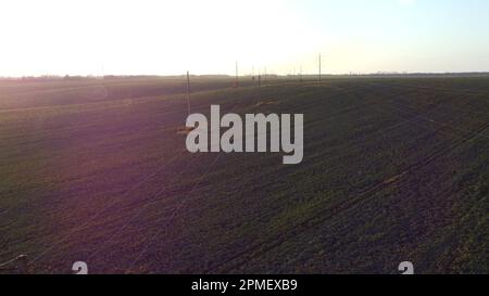 Landschaftsblick landwirtschaftliche Felder mit grünen agroindustriellen Anlagen und Hochspannungsleitungen im Feld. Rote Sonnenblende. Sie heben sich an, erheben sich über Agrar-Industriefelder an sonnigen Morgenabenden Stockfoto