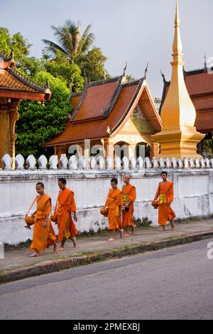 Junge buddhistische Mönche in Luang Prabang. Laos Stockfoto