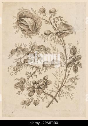 Print, Flower Bough, von „Cahier de Fleurs Singuliers“; entworfen von Jean-Baptiste Pillement (Französisch, 1728–1808); Frankreich; Ätzen auf Papier Stockfoto