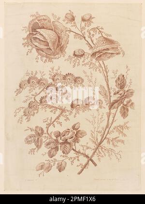 Print, Flower Bough, von „Cahier de Fleurs Singuliers“; entworfen von Jean-Baptiste Pillement (Französisch, 1728–1808); Frankreich; Beizen in brauner Tinte auf Papier Stockfoto