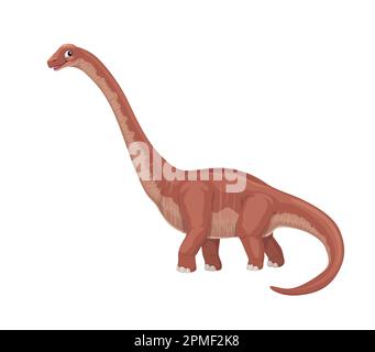 Cartoon-Omeisaurus-Dinosaurier-Figur. Prähistorisches Tier, ausgestorbene Eidechse, fröhliche lächelnde Person. Isolierte paläontologische Fossilienreptilien, Jurassic-Ära Stock Vektor
