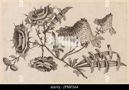 Print, Flower Bough, von „Recueil de Fleurs Chinois“; entworfen von Jean-Baptiste Pillement (Französisch, 1728–1808); Frankreich; Ätzen auf Papier Stockfoto