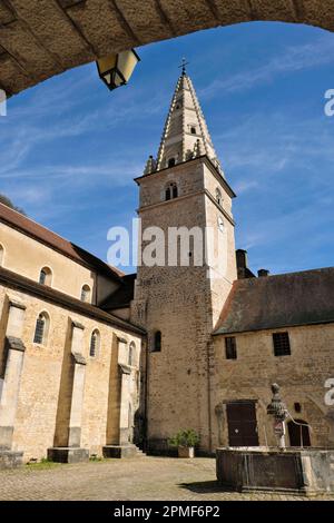 Frankreich, Jura, Baume les Messieurs, genannt Les Plus Beaux Villages de France (die schönsten Dörfer Frankreichs), Saint Pierre Abbey aus dem 11. Jahrhundert, Klosterhof Stockfoto