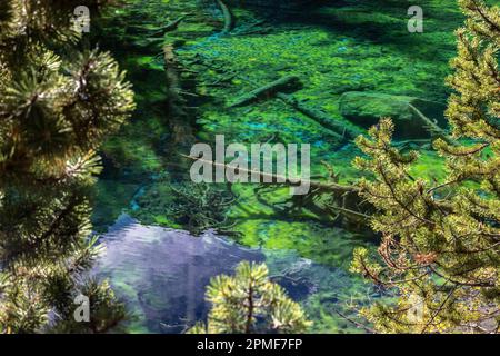 Frankreich, Hautes-Alpes, Gemeinde Névache, Etroite-Tal im Herbst, Grüner See (1834 m) Stockfoto