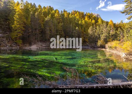 Frankreich, Hautes-Alpes, Gemeinde Névache, Etroite-Tal im Herbst, Grüner See (1834 m) Stockfoto