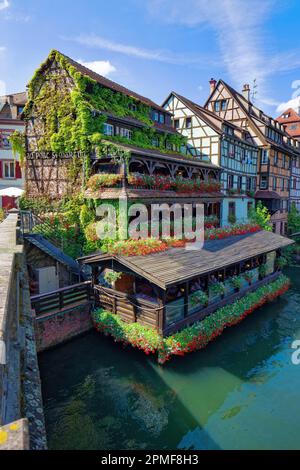 Frankreich, Bas-Rhin, Straßburg, das Viertel der Altstadt, das von der UNESCO zum Weltkulturerbe erklärt wurde, Restaurant Au Pont Saint-Martin, geblümtes Fachwerkhaus am Ufer der Kranken Stockfoto