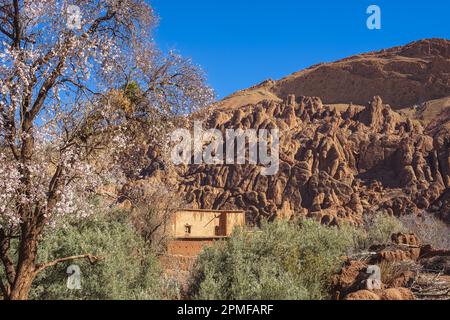 Marokko, Dades-Tal, Tamellalt-Dorf, die Klippe der Affenfinger Stockfoto