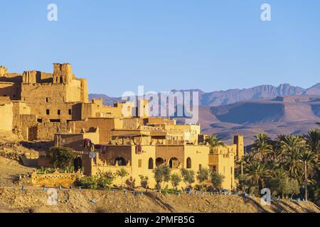 Marokko, Provinz Zagora, N'Kob (oder Nkob), das Dorf mit 45 Kasbahs, Djebel Saghro im Hintergrund Stockfoto