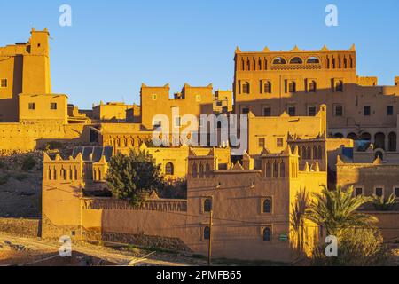 Marokko, Provinz Zagora, N'Kob (oder Nkob), das Dorf mit 45 Kasbahs, Kasbah Hotel Ait Omar Stockfoto