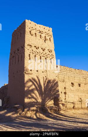 Marokko, Provinz Zagora, M'Hamid El Ghizlane, das alte Dorf vor den Toren der Wüste, die befestigte Kasbah Stockfoto