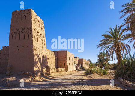 Marokko, Provinz Zagora, M'Hamid El Ghizlane, das alte Dorf vor den Toren der Wüste, die befestigte Kasbah Stockfoto