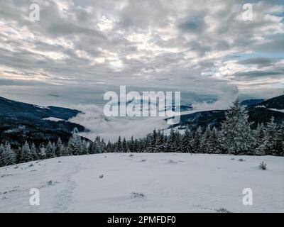 Landschaftsaufnahmen auf dem Gipfel des Smrekovec Hügels in Slowenien, Kamnisko Savinjske Alpe. Stockfoto