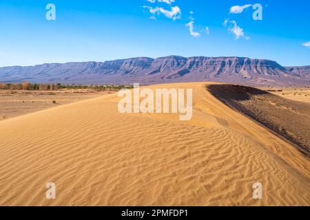 Marokko, Provinz Tata, Sanddünen auf der Straße nach Zagora, Djebel Bani im Hintergrund Stockfoto