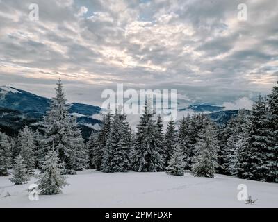 Aufgenommen von einem Pfad auf dem Gipfel des Smrekovec Hügels in Slowenien, Kamnisko Savinjske Alpe. Stockfoto