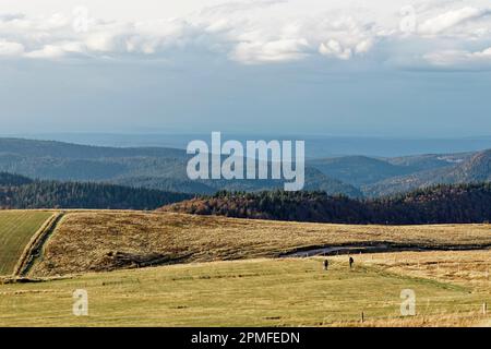 Frankreich, Vogesen (88), Naturpark Ballons des Vosges, La Bresse, Wanderer auf dem Gipfel des Hohneck 1363 m. Stockfoto