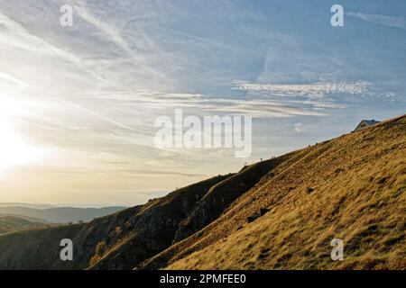 Frankreich, Vogesen (88), Naturpark Ballons des Vosges, La Bresse, Wanderer auf dem Gipfel des Hohneck 1363 m. Stockfoto