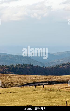 Frankreich, Vogesen (88), Naturpark Ballons des Vosges, La Bresse, Wanderer auf dem Gipfel des Hohneck 1363 m. Stockfoto