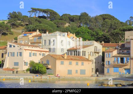 Frankreich, Var, Saint Tropez, Plage de la Ponche und der Aufstieg der Zitadelle Stockfoto