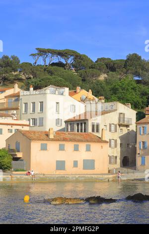 Frankreich, Var, Saint Tropez, Plage de la Ponche und der Aufstieg der Zitadelle Stockfoto