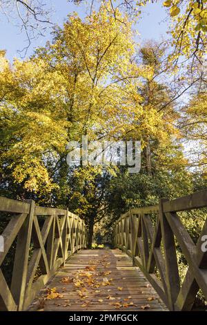 Frankreich, Ille-et-Vilaine, Montfort-sur-Meu, Brücke über den Fluss Garun im Herbst Stockfoto