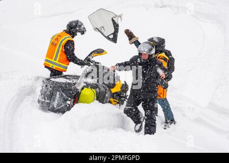 Kanada, Provinz Quebec, Lac Taureau Regional Park, Schneemobil auf der Strecke, fällt in Pulverschnee Stockfoto