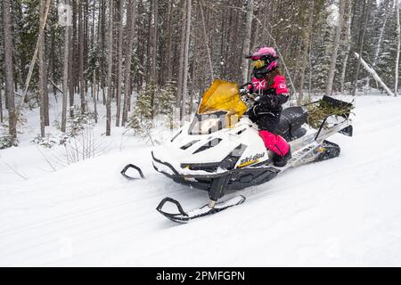 Kanada, Provinz Quebec, Lac Taureau Regional Park, Schneemobil auf der Strecke Stockfoto