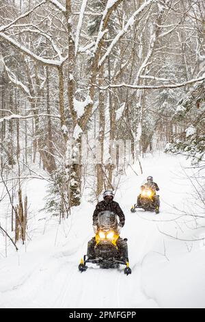 Kanada, Provinz Quebec, Lac Taureau Regional Park, Schneemobil auf der Strecke Stockfoto