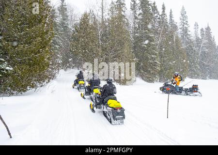 Kanada, Provinz Quebec, Lac Taureau Regional Park, Schneemobil abseits der Piste Stockfoto