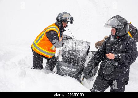 Kanada, Provinz Quebec, Lac Taureau Regional Park, Schneemobil auf der Strecke, fällt in Pulverschnee Stockfoto