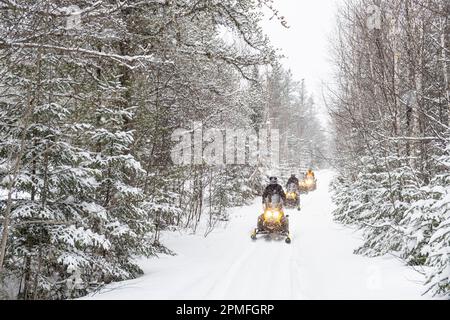 Kanada, Provinz Quebec, Lac Taureau Regional Park, Schneemobil auf der Strecke Stockfoto