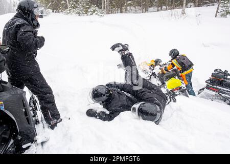 Kanada, Provinz Quebec, Lac Taureau Regional Park, Schneemobil auf der Strecke, fällt in Pulverschnee Stockfoto