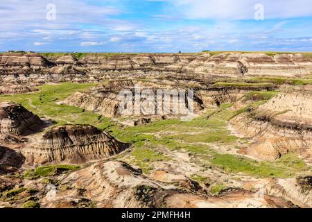 Eine malerische Aufnahme eines Tals in Drumheller mit einer Schicht grünen Grases auf der erodierten Oberfläche Stockfoto