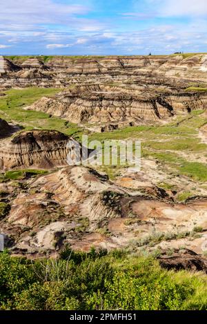 Eine malerische Aufnahme eines Tals in Drumheller mit einer Schicht grünen Grases auf der erodierten Oberfläche Stockfoto