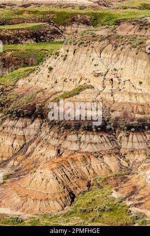 Eine malerische Aufnahme eines Tals in Drumheller mit einer Schicht grünen Grases auf der erodierten Oberfläche Stockfoto