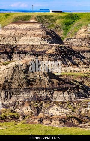 Eine malerische Aufnahme eines Tals in Drumheller mit einer Schicht grünen Grases auf der erodierten Oberfläche Stockfoto